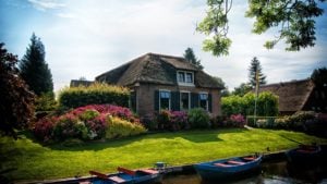 landscaping to increase house value